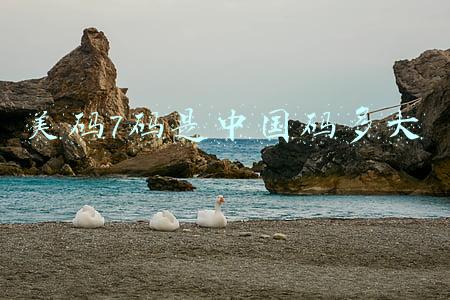 美码7码是中国码多大