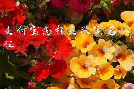 支付宝怎样更改实名认证