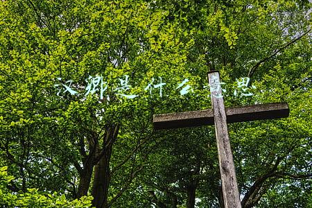 汉卿是什么意思