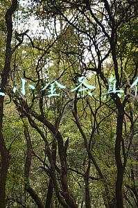 圣罗兰小金条真假辨别