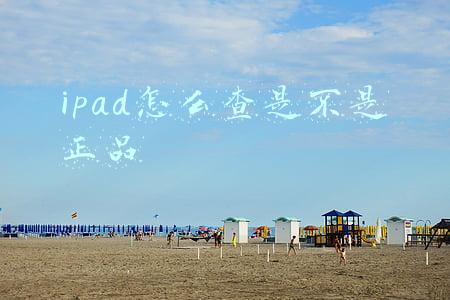 ipad怎么查是不是正品