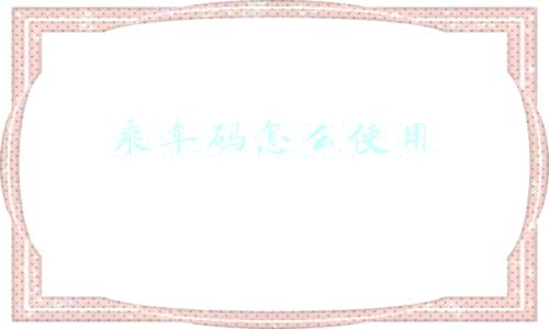 乘车码怎么使用