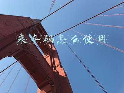乘车码怎么使用