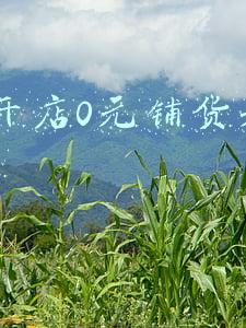 0元开店0元铺货无加盟费开网店(欧林雅全国招募合伙人，联营免费铺货加盟无风险！)