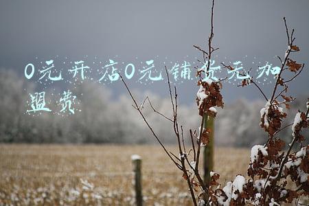 0元开店0元铺货无加盟费