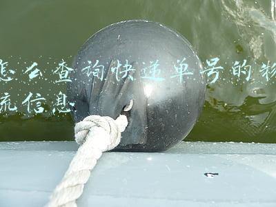 邮政怎么查询快递单号的物流信息(极速查EMS快递 极速批量查询EMS快递)