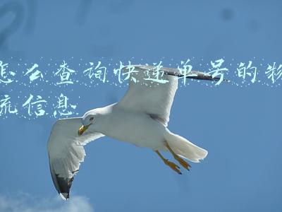 怎么查询快递单号的物流信息