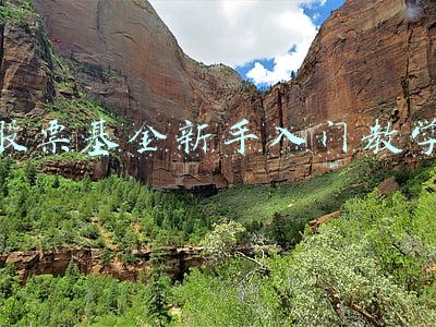 股票基金新手入门教学视频(新手入门投资基金这些技巧应该知道)