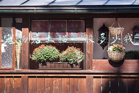 宠物店土狗多少钱一只 土小狗一般多少钱一只