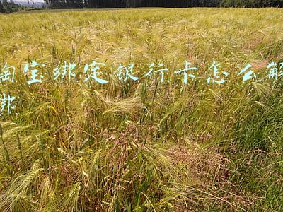 淘宝绑定银行卡怎么解绑