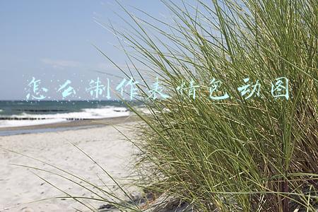 怎么制作表情包动图