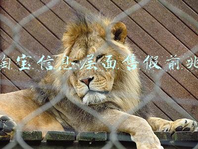 淘宝信息层面售假前兆