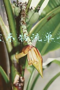 京东物流单号