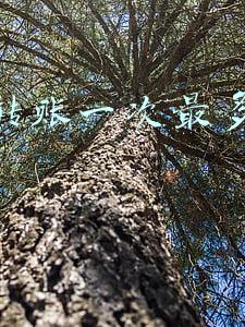 微信转账一次最多能转多少
