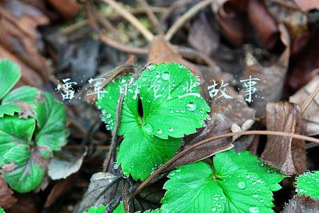 雷军的创业故事