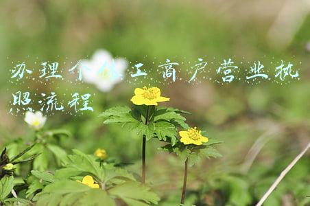 办理个体工商户营业执照流程