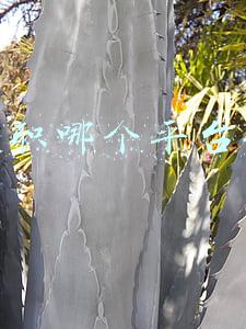 兼职哪个平台好