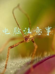 买电脑注意事项