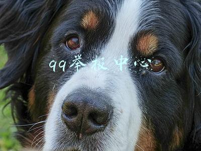 qq举报中心