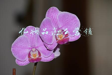 化妆品怎么营销