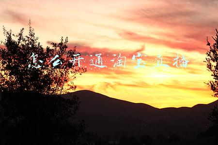 怎么开通淘宝直播