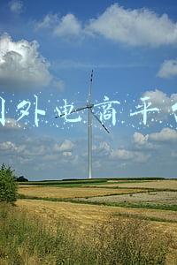 国外电商平台