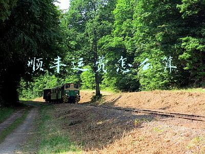 顺丰运费怎么算