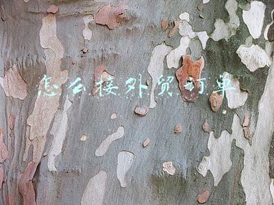 怎么样接外贸订单(如何拿到外贸订单？)