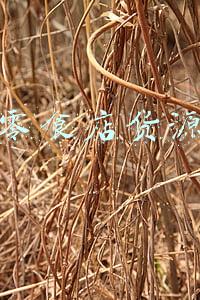 零食店货源