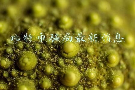 比特币骗局最新消息