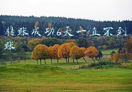 转账成功6天一直不到账