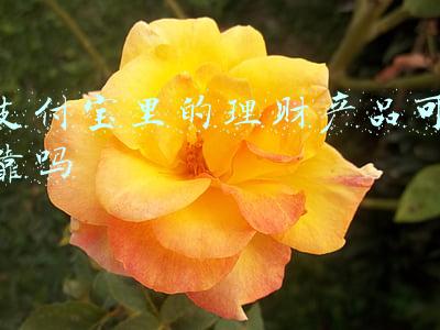 支付宝里的理财产品可靠吗