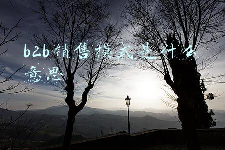 b2b销售模式是什么意思