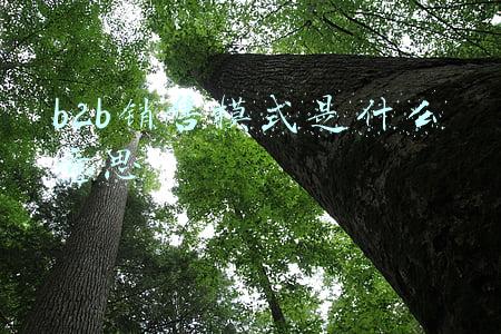 b2b销售模式是什么意思