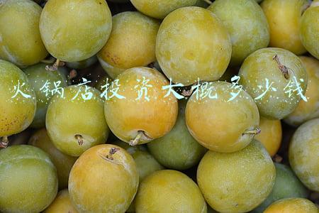 火锅店投资大概多少钱