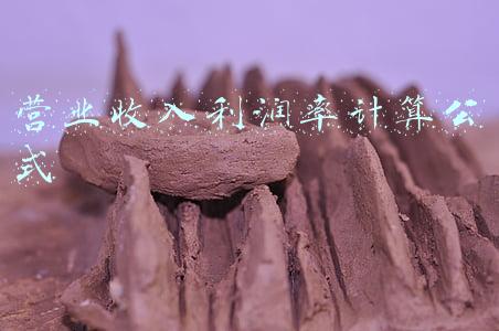 营业收入利润率公式(什么是营业利润率？和销售利润率的区别)