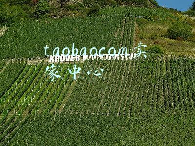 taobaocom卖家中心