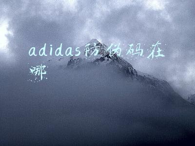 adidas防伪码在哪