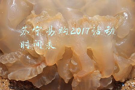 苏宁易购2017活动时间表