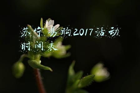 苏宁易购2017活动时间表