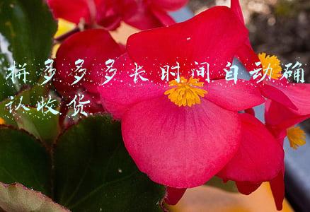 拼多多多长时间自动确认收货