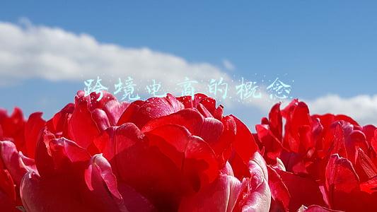 跨境电商的概念