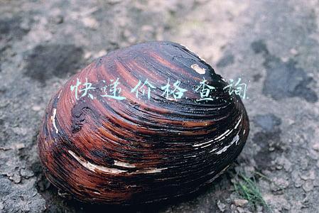 快递价格查询