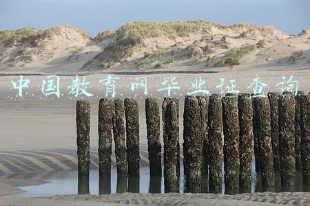 全国教育网毕业证查询(2021年全国高考结束 这些实用信息了解一下)