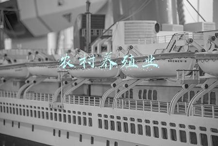 农村养殖业