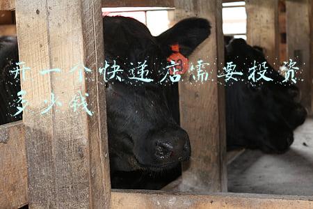 开个快递店挣钱吗《我想在乡镇开一家快递店怎么开一年赚多少？》