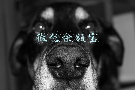 微信余额宝