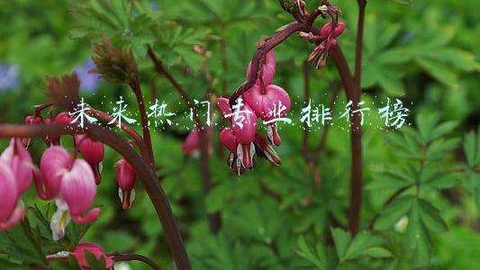 未来热门专业排行榜