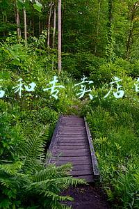 专营店和专卖店的区别