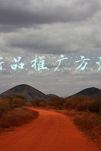 新品推广方法